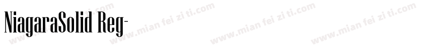 NiagaraSolid Reg字体转换